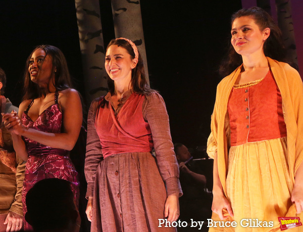 Photos: The Cast of INTO THE WOODS Takes Bows at First Preview on Broadway Image