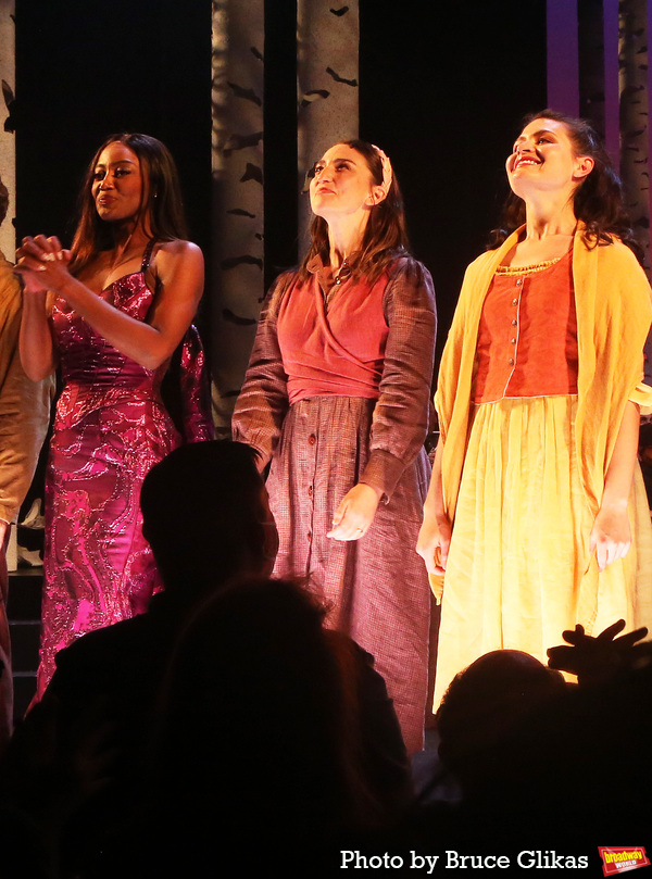 Photos: The Cast of INTO THE WOODS Takes Bows at First Preview on Broadway Image