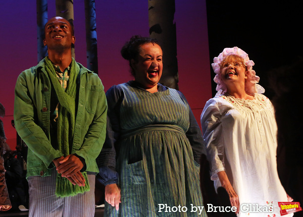 Photos: The Cast of INTO THE WOODS Takes Bows at First Preview on Broadway Image