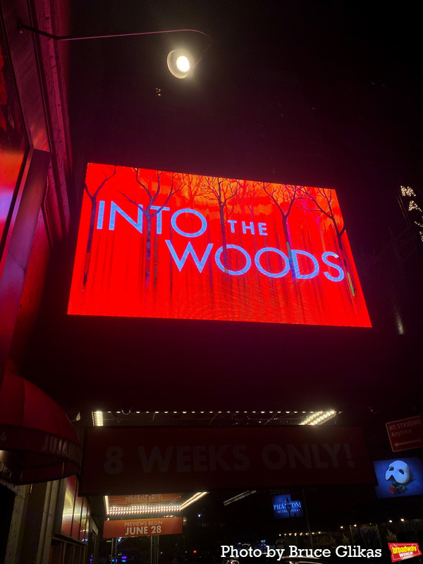 Photos: The Cast of INTO THE WOODS Takes Bows at First Preview on Broadway Image