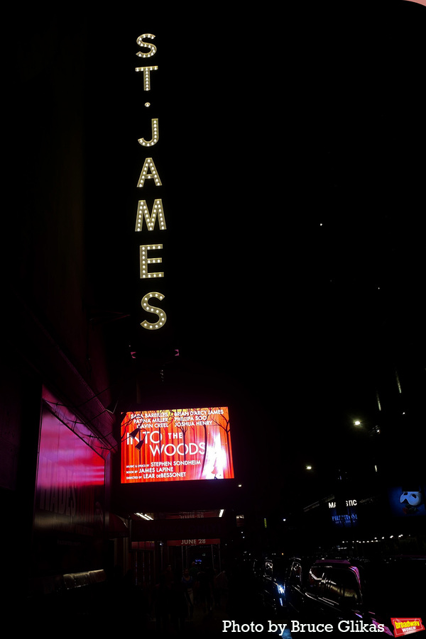 Photos: The Cast of INTO THE WOODS Takes Bows at First Preview on Broadway Image