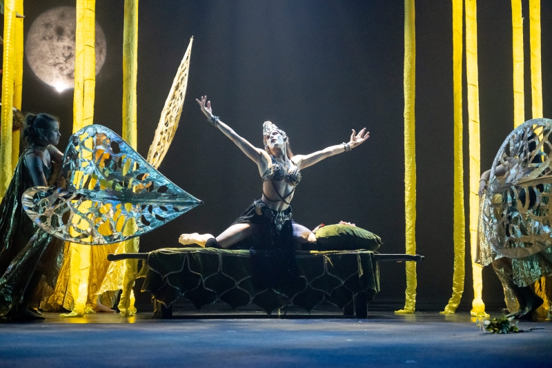 Review: Synetic's lush A MIDSUMMER NIGHT'S DREAM sparkles and pops at Synetic Theater 