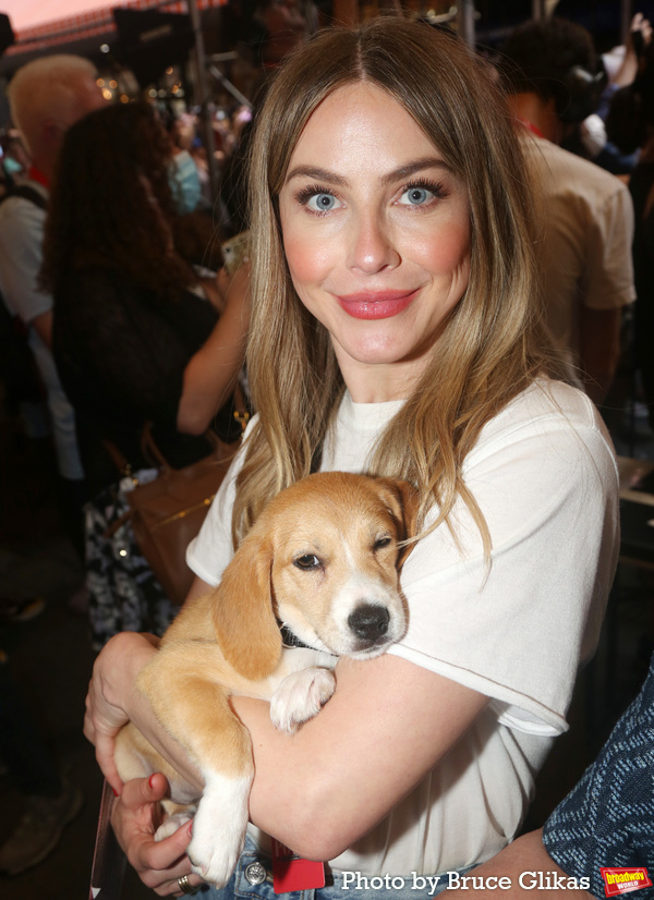 Photos: Go Inside Broadway Barks with Bernadette Peters & More! Image