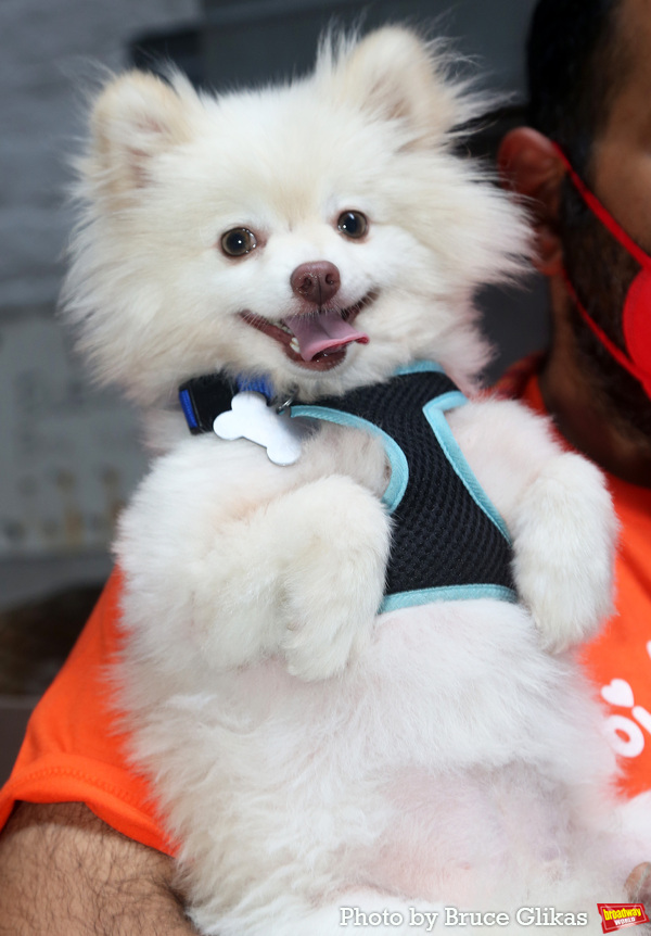 Photos: Go Inside Broadway Barks with Bernadette Peters & More! Image
