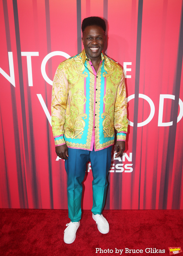 Photos: On the Red Carpet with the Cast of INTO THE WOODS Image