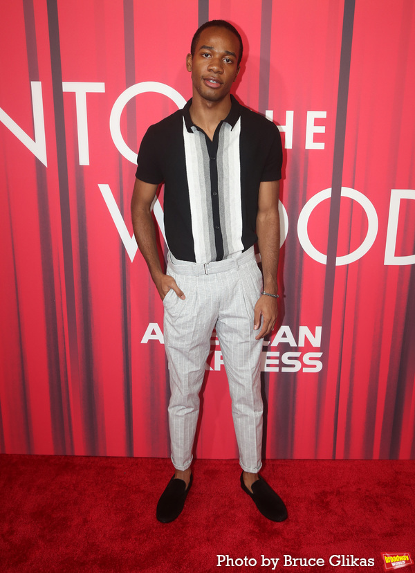Photos: On the Red Carpet with the Cast of INTO THE WOODS Image