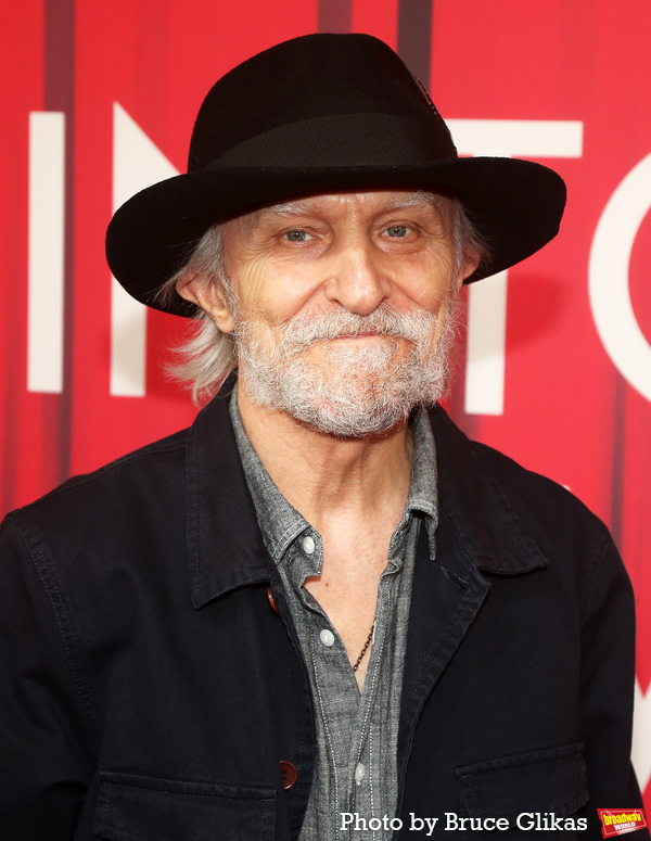 Photos: On the Red Carpet with the Cast of INTO THE WOODS Image