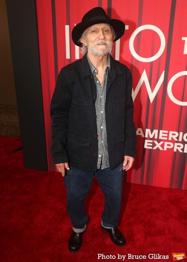 Photos: On the Red Carpet with the Cast of INTO THE WOODS Image