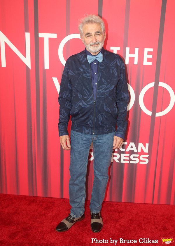 Photos: On the Red Carpet with the Cast of INTO THE WOODS Image