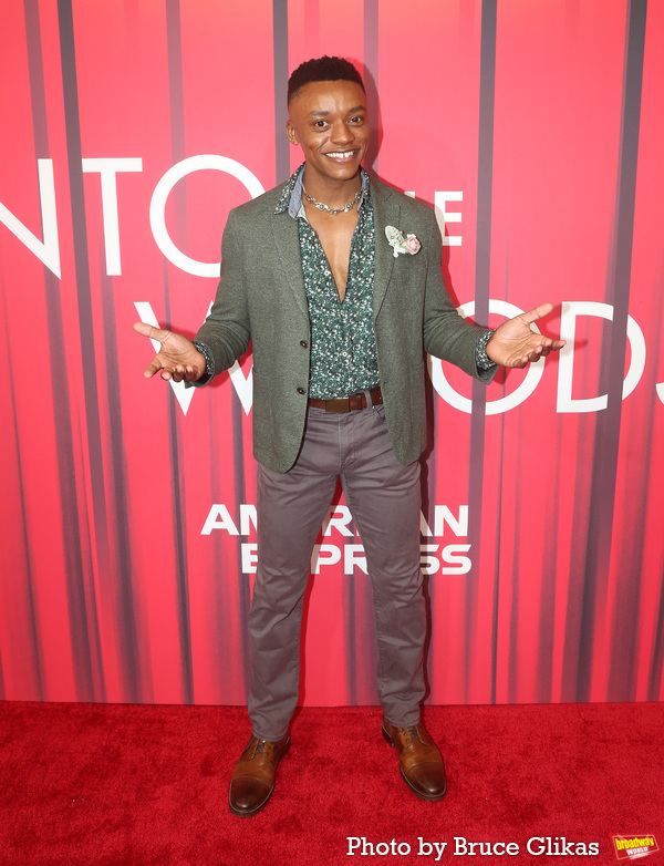 Photos: On the Red Carpet with the Cast of INTO THE WOODS Image