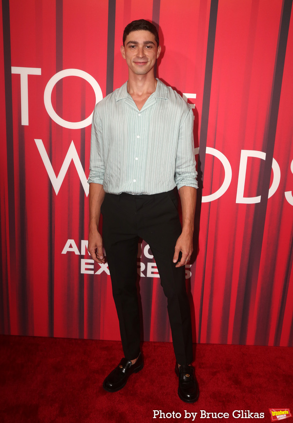 Photos: The Stars Arrive at Opening Night of INTO THE WOODS Image