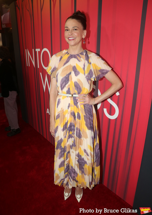 Photos: The Stars Arrive at Opening Night of INTO THE WOODS Image