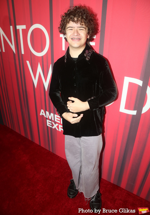 Photos: The Stars Arrive at Opening Night of INTO THE WOODS Image