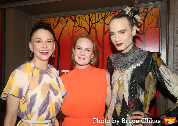 Photos: The Stars Arrive at Opening Night of INTO THE WOODS Image