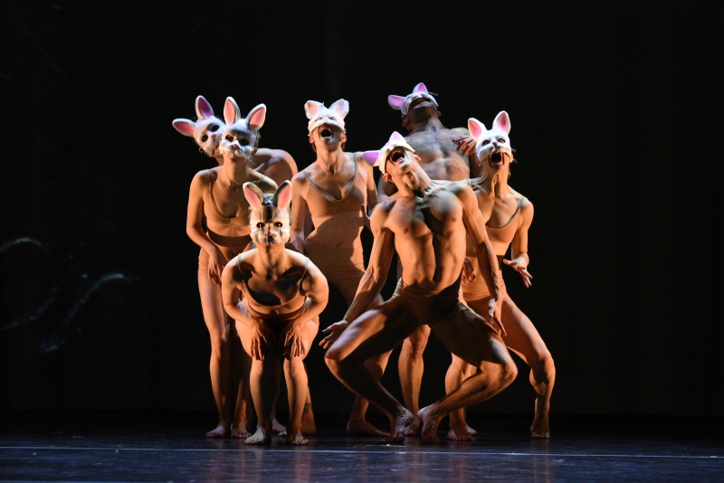 Review: MOMIX: ALICE at The Joyce Theater  Image