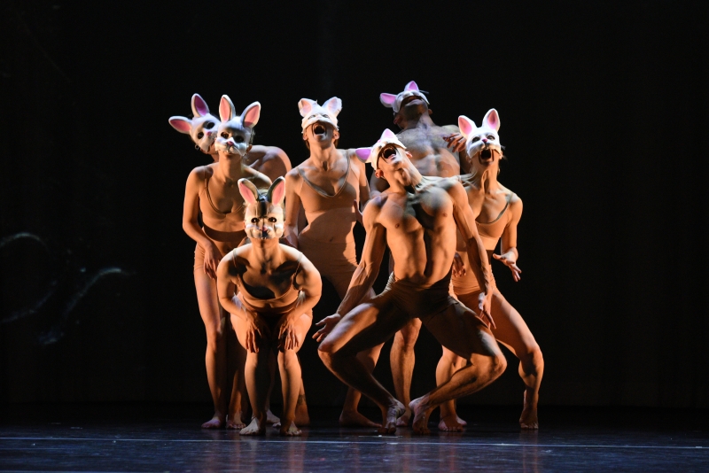 Review: MOMIX: ALICE at The Joyce Theater Image