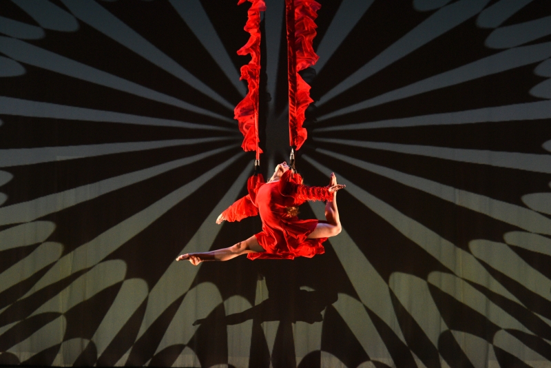 Review: MOMIX: ALICE at The Joyce Theater Image