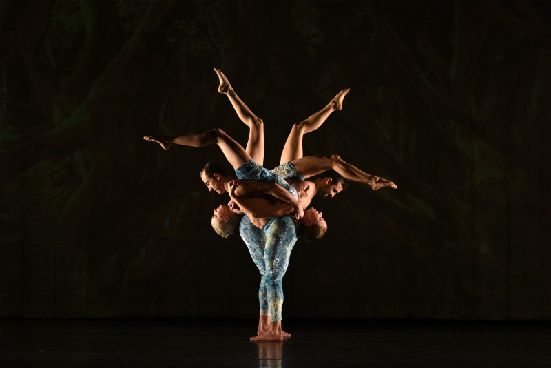 Review: MOMIX: ALICE at The Joyce Theater Image