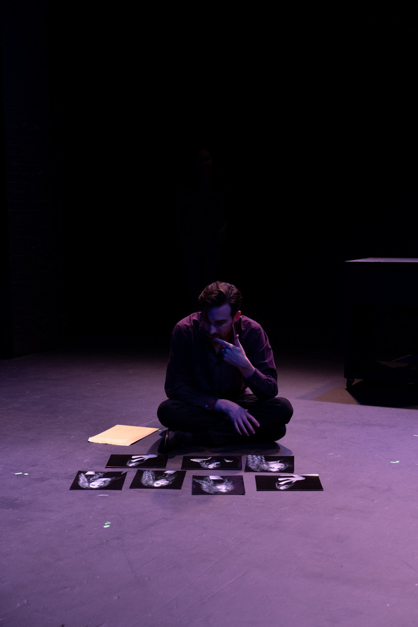 Photos: First Look at the NYC Premiere of Eric Bogosian's 1+1 Image