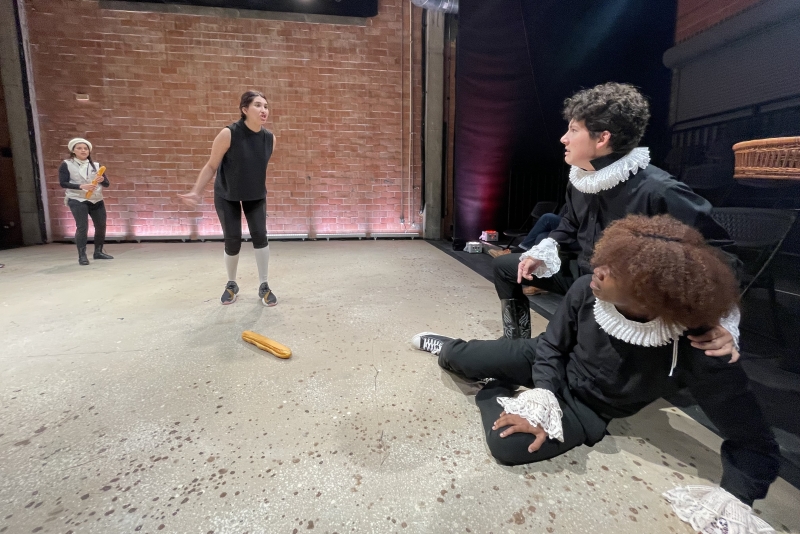 Interview: Ana Karneza of TWELFTH NIGHT at 4th Wall Theatre Company Image