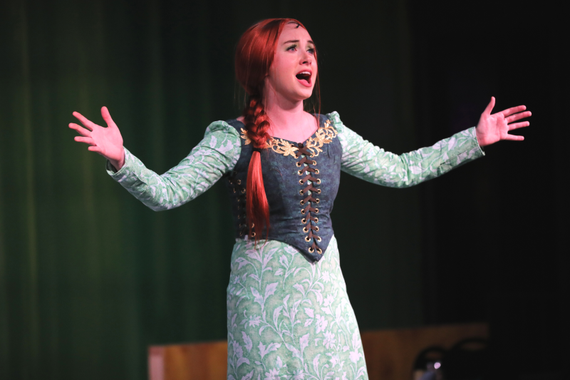 Review: SHREK! THE MUSICAL at Murry's Dinner Playhouse is Fun for The Entire Family 