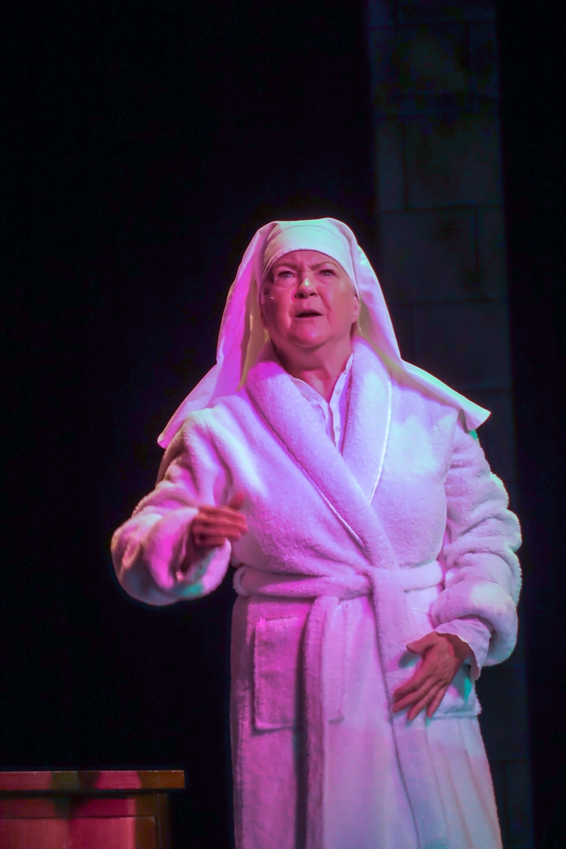 Review: SISTER ACT at Matthews Playhouse Image