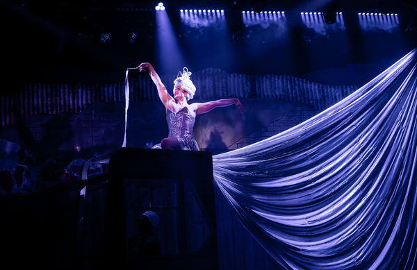 Photos & Video: First Look at PRISCILLA QUEEN OF THE DESERT at Mercury Theater Chicago 