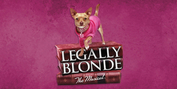LEGALLY BLONDE Comes to Jefferson Performing Arts Center This Week Photo