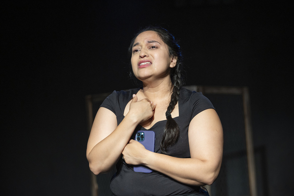 Photos: Get a First Look at The New Coordinates' AMERICAN SIDE EFECTOS at The Den Theatre Image
