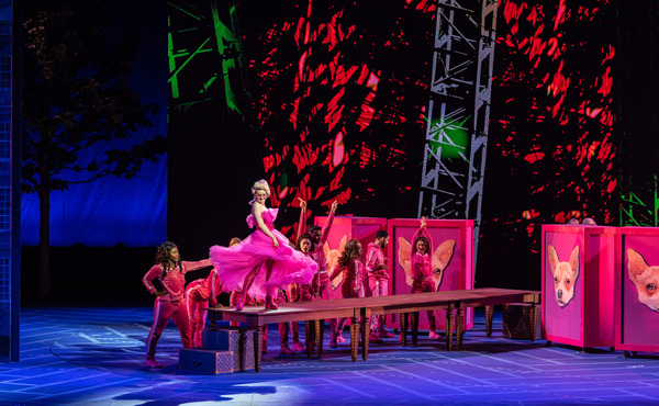 Photos/Video: Get a First Look at LEGALLY BLONDE at the Muny Starring Kyla Stone, Patti Murin & More! 