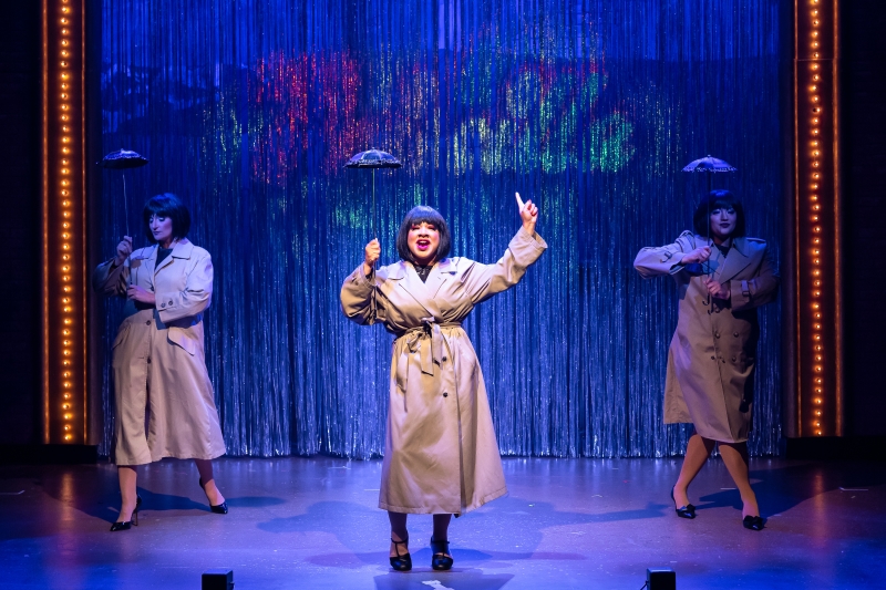 REVIEW: A Magical PRISCILLA QUEEN OF THE DESERT at Mercury Theater Chicago Image