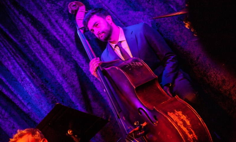 Review: TONY DeSARE Makes Musical Serotonin at Birdland Theater Image