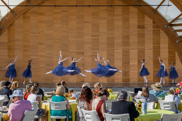 Photos: Inside New Vision Dance Company hosted the inaugural NEW ALBANY DANCE FESTIVAL 