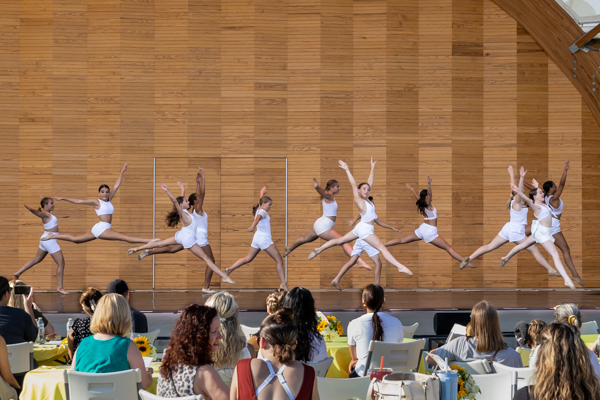 Photos: Inside New Vision Dance Company hosted the inaugural NEW ALBANY DANCE FESTIVAL 