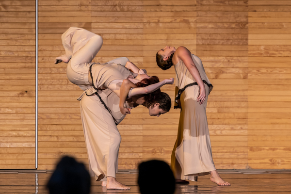 Photos: Inside New Vision Dance Company hosted the inaugural NEW ALBANY DANCE FESTIVAL Image