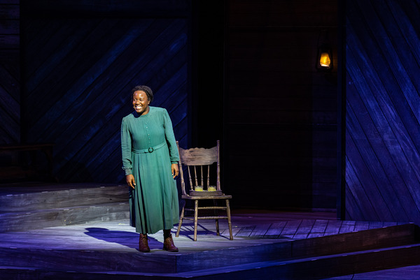 Photo/Video: First Look At THE COLOR PURPLE At The Muny Image