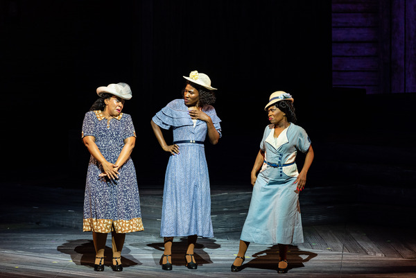 Photo/Video: First Look At THE COLOR PURPLE At The Muny Image