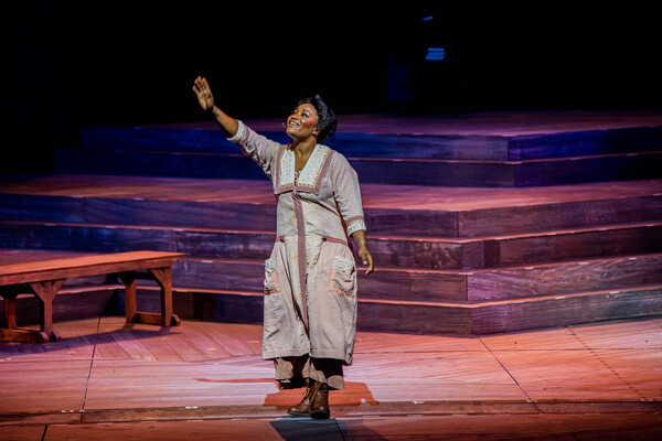 Photo/Video: First Look At THE COLOR PURPLE At The Muny  Image