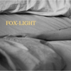 Review: FOX-LIGHT, The Hope Theatre Photo