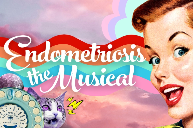 Review: ENDOMETRIOSIS: THE MUSICAL at Theatre In The Round Image