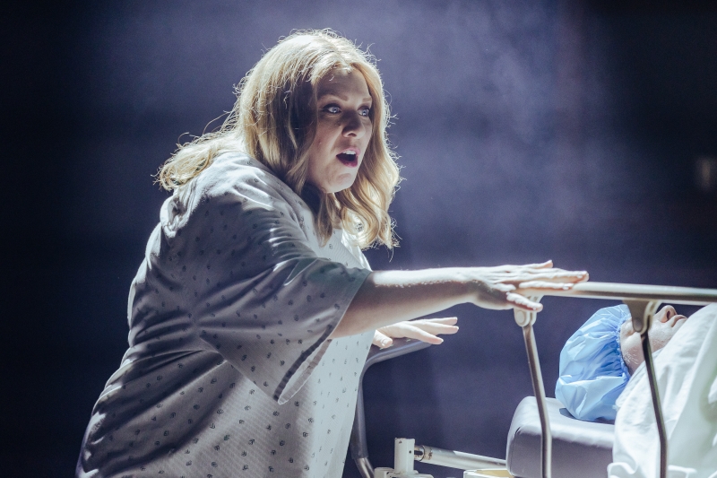 Review: NEXT TO NORMAL at Mac-Haydn Theatre Image