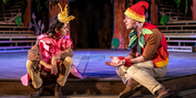 Review: AS YOU LIKE IT at Canadian Stage's High Park Amphitheatre Photo