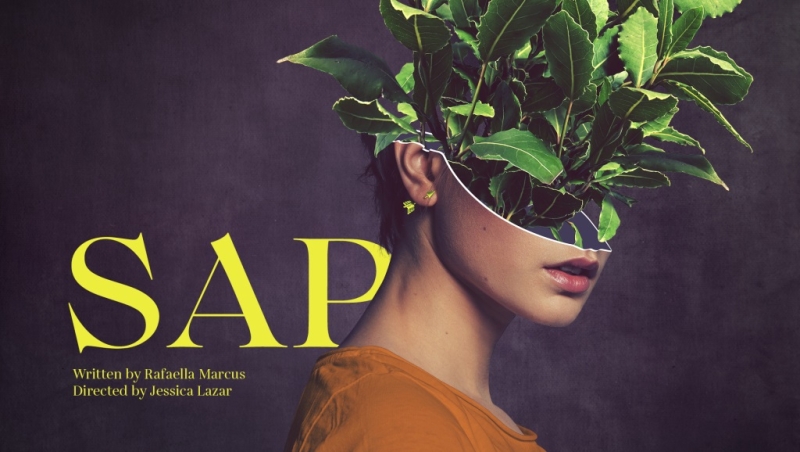 Review: SAP, Summerhall 