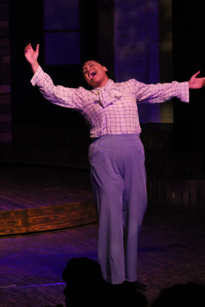 Review: Roxy Regional Theatre's THE COLOR PURPLE is 'Emphatically, Beautifully, Electrifyingly Sung' Image