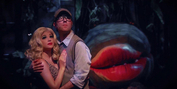 Review:  You Don't Want to Miss LITTLE SHOP OF HORRORS At the Warwick Theatre Photo