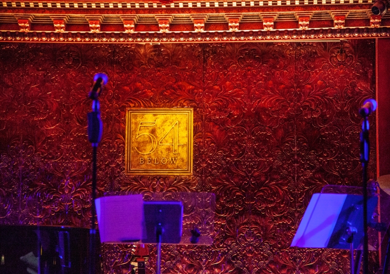 Review: Jaime Cepero's SONGS ABOUT ANXIETY 2.0 at 54 Below Is All Anthems And Lullabies And Pure Unadulterated Joy Image
