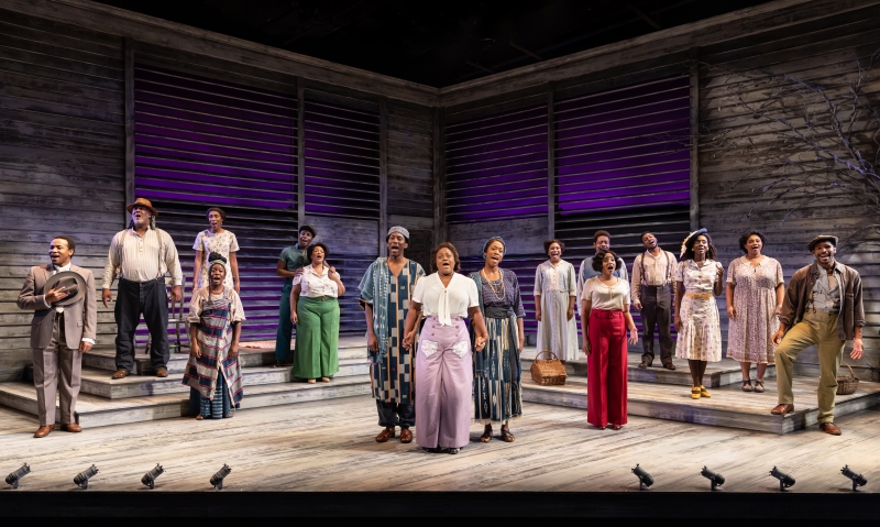 Review: THE COLOR PURPLE at Signature Theatre Image