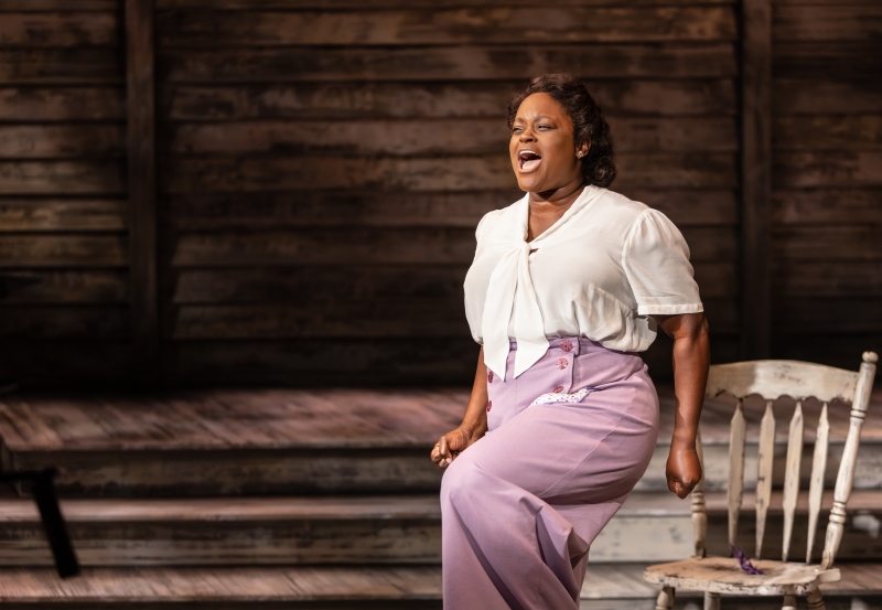 Review: THE COLOR PURPLE at Signature Theatre Image
