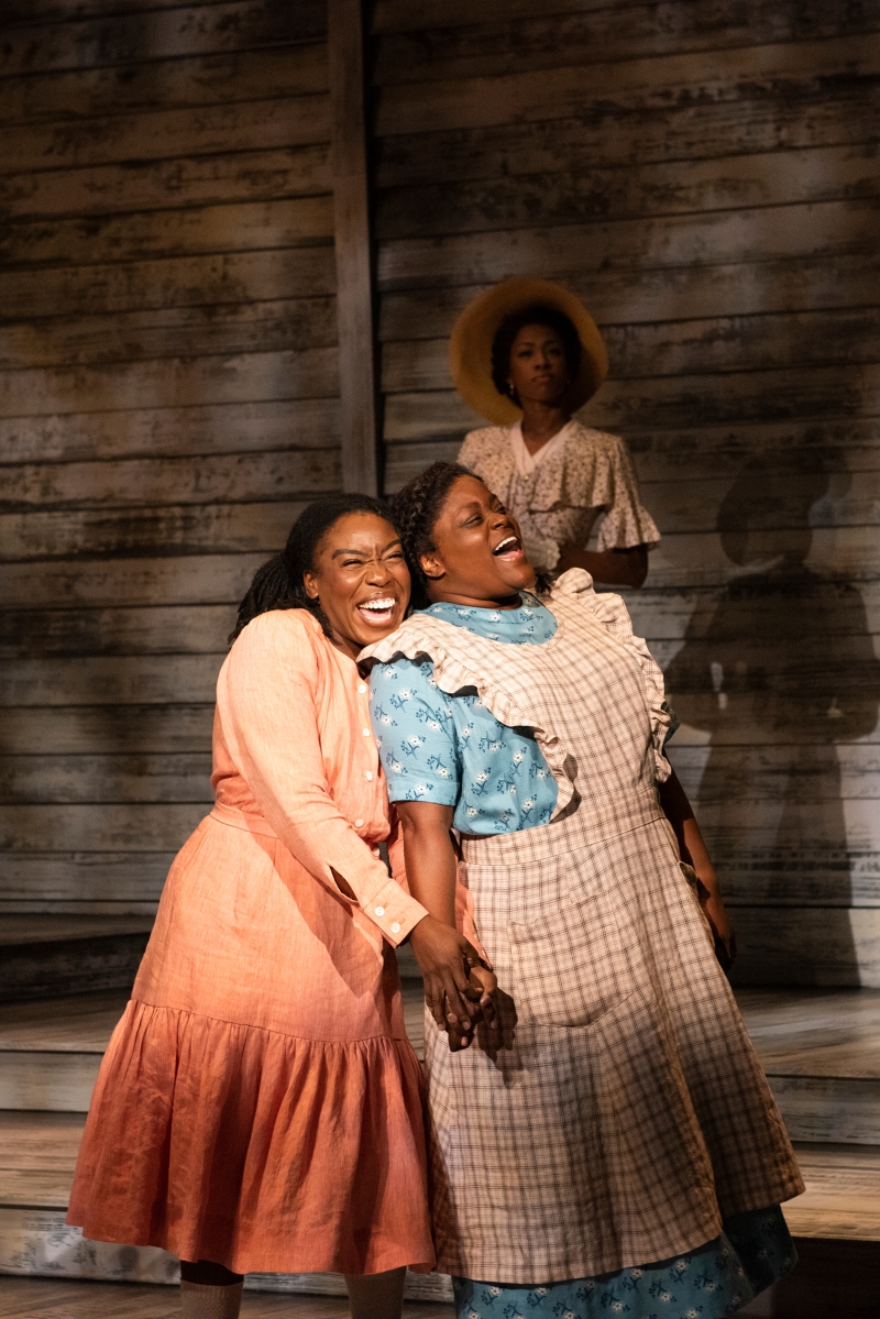 Review: THE COLOR PURPLE at Signature Theatre Image