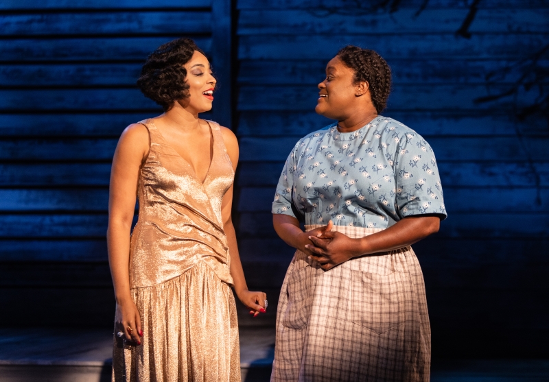 Review: THE COLOR PURPLE at Signature Theatre Image